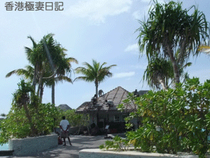 f0190653_9233324.gif