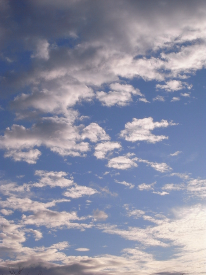 c0109454_2030377.jpg