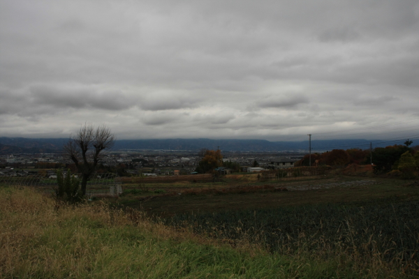 f0160554_2025383.jpg