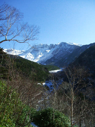 c0097856_0332074.jpg