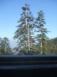 c0097856_0463637.jpg