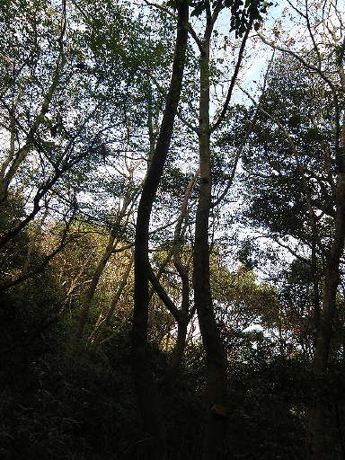 e0184558_830993.jpg