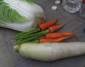 e0184558_9162133.jpg