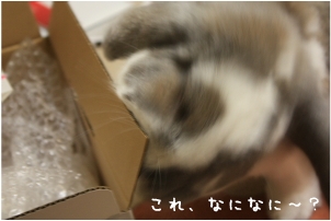 f0196660_0265527.jpg