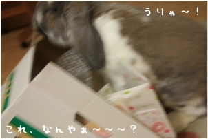 f0196660_02888.jpg