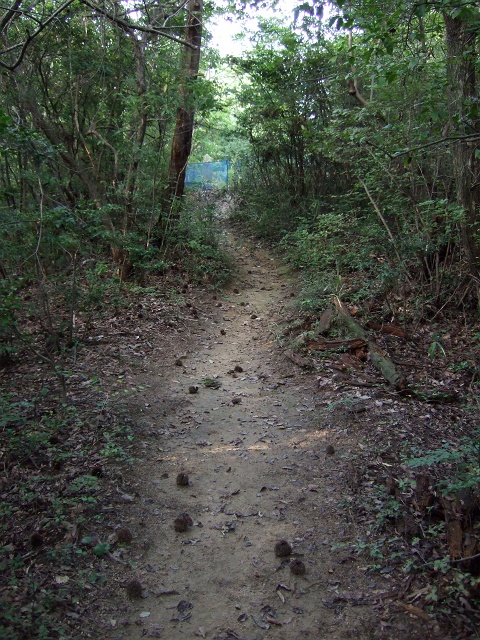 b0095061_12314223.jpg