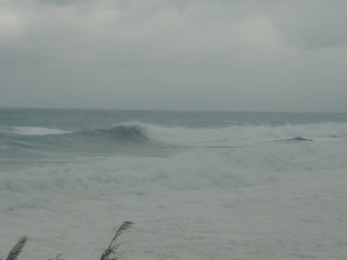 f0055264_2347496.jpg