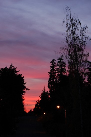 e0128367_534084.jpg