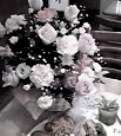c0221568_2353859.jpg