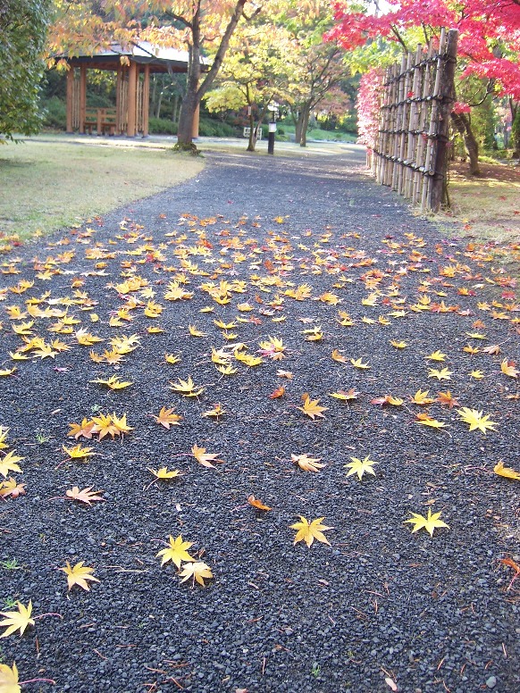 c0198781_1622890.jpg