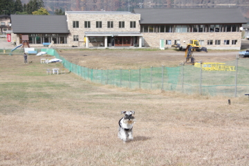 f0155381_17224871.jpg