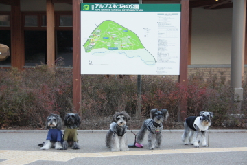 f0155381_1812269.jpg