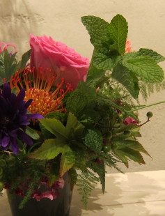 f0199081_1151772.jpg