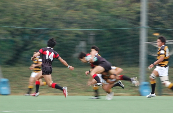 b0143983_964240.jpg