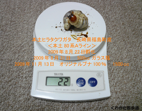 f0183484_22393948.jpg