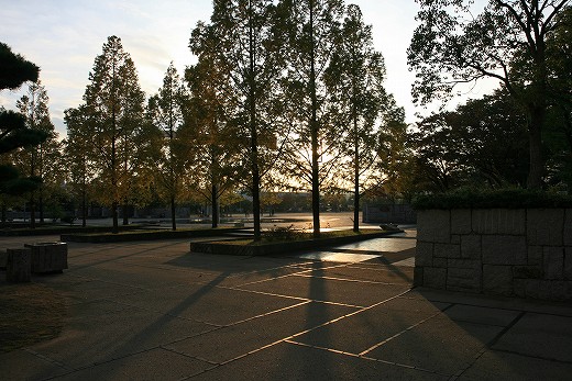 e0190885_19284624.jpg