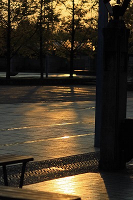 e0190885_19294454.jpg