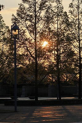 e0190885_19295070.jpg