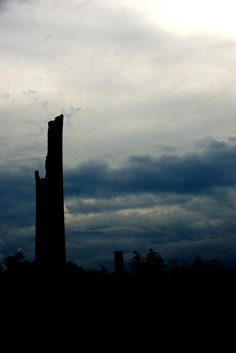 a0139188_450655.jpg