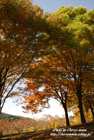 c0156789_19203227.jpg