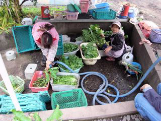 c0018092_19445217.jpg