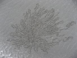 a0125598_21101019.jpg