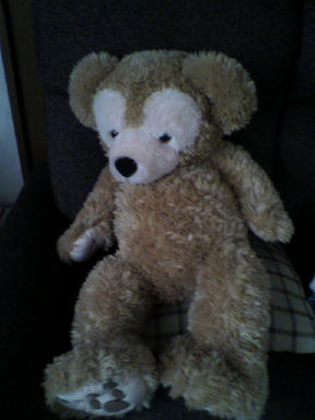 f0042599_812583.jpg