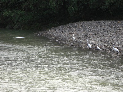c0125501_21441429.jpg