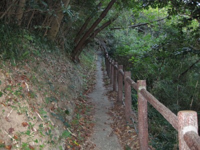 e0183804_138581.jpg