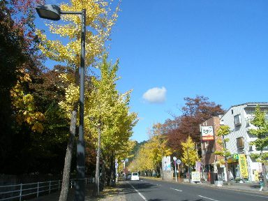 c0205806_2043144.jpg