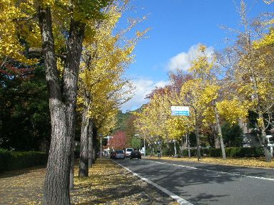 c0205806_20503775.jpg