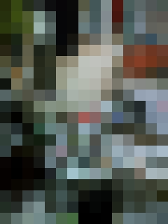 f0006510_15571842.jpg