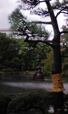 e0009714_750293.jpg