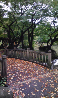e0009714_750295.jpg