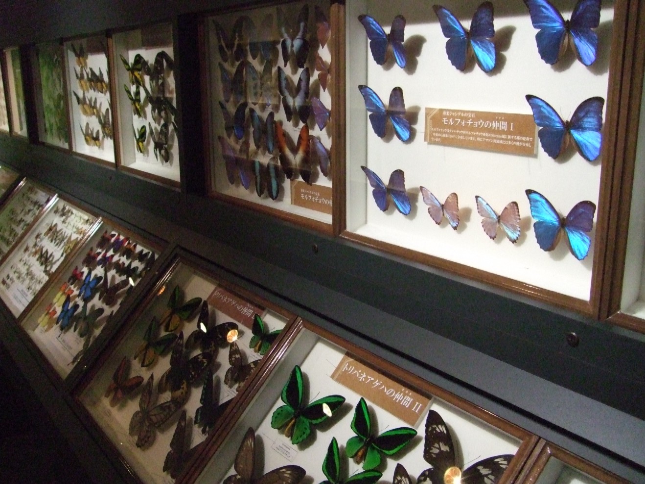 b0013915_17484513.jpg