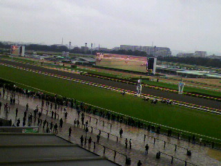 a0063416_15113328.jpg