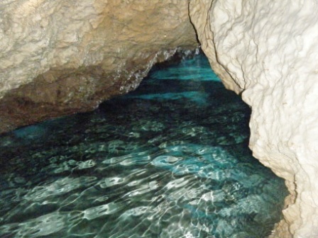e0134616_19565899.jpg