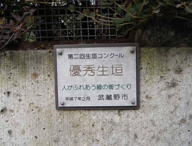 e0049318_1432370.jpg
