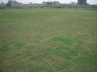 e0121418_10312511.jpg