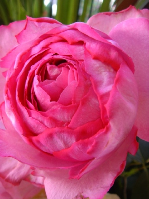 e0127926_0491375.jpg