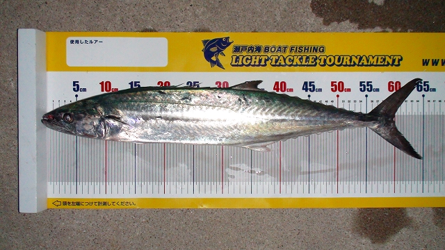 a0132631_22242862.jpg