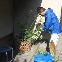 d0033734_1924154.jpg
