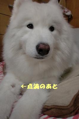 e0196135_1326579.jpg
