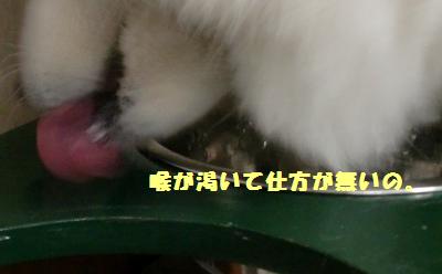 e0196135_13273887.jpg