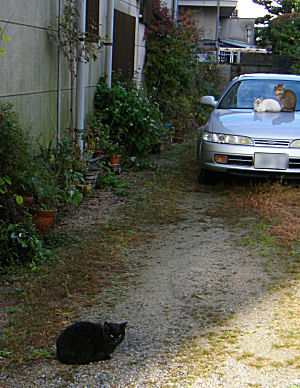 c0069036_14264564.jpg