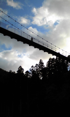 e0008538_23552323.jpg