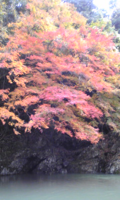 e0008538_23552330.jpg