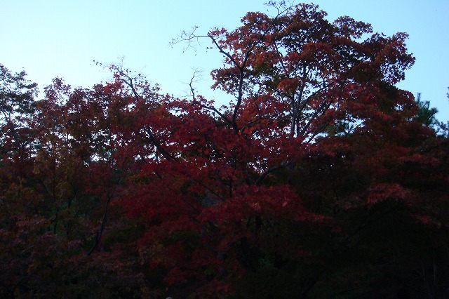 a0046339_12203143.jpg