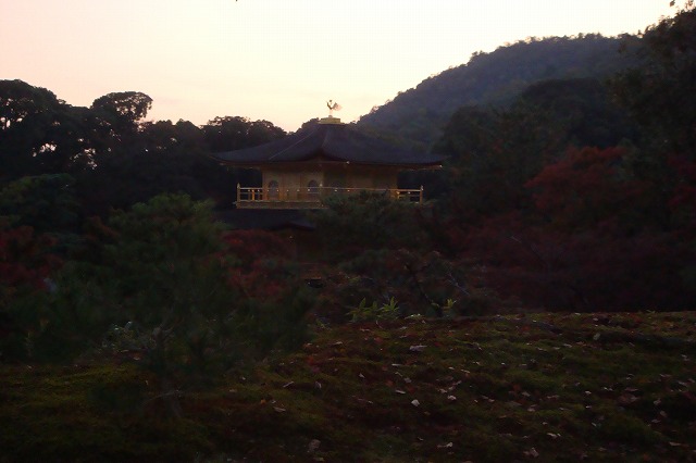 a0046339_1221778.jpg