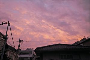 a0068339_21281498.jpg